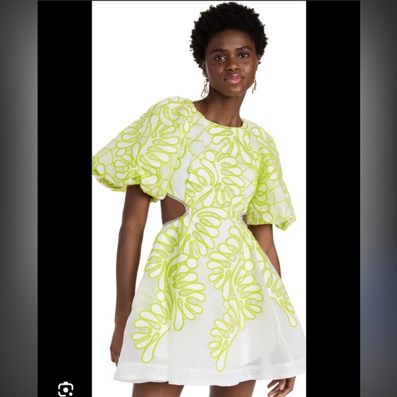 aje botanical appliqud midi dress Aje